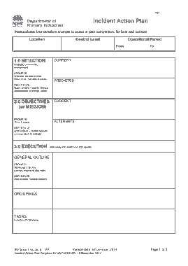 Incident Action Plan Template