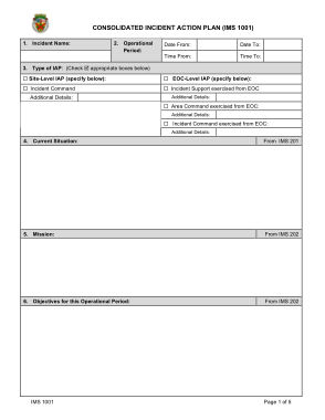 Free Download PDF Books, Printable Incident Action Plan Sample Template