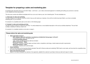 Sample Sales Action Plan Word Template