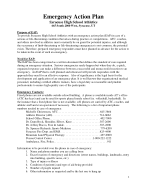 Syracuse Hs Eap Action Plan Template