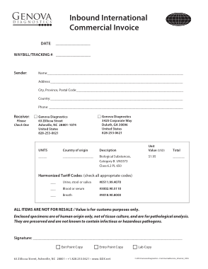 International Commercial Invoice Template