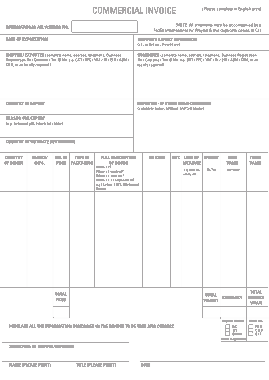 Simple Commercial Invoice Sample Template
