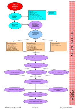 Free Download PDF Books, Critical Incident Flowchart Template
