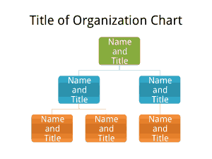 Free Download PDF Books, Basic Organization Chart Template