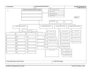 Free Download PDF Books, Blank Incident Organizational Chart Template