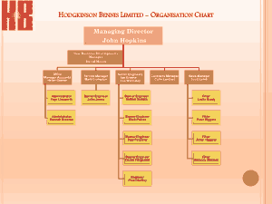 Business Structure Organizational Chart Template