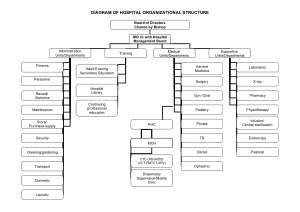 Corporate Hospital Organizational Chart Template