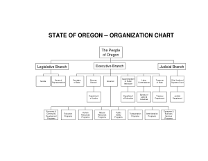 Downloadable Non Profit Organizational Chart Template