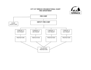 Format Of Fire Department Organizational Chart Template