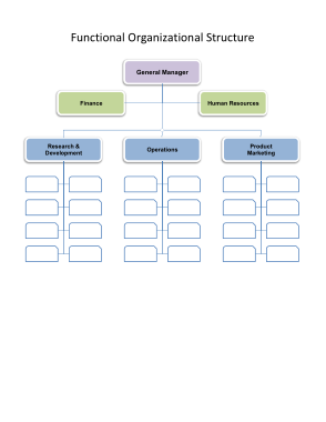 Functional Organizational Structure Chart Template
