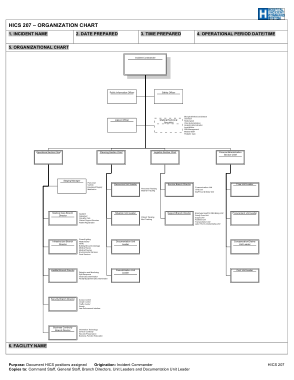 Free Download PDF Books, HICS Organizational Chart Sample Template