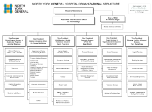 Hospital Organizational Chart Format Template