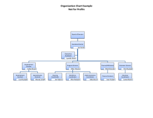 Non Profit Human Resources Organizational Chart Template