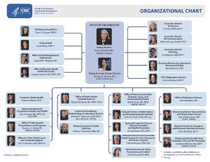 Office Organizational Chart Examples Template