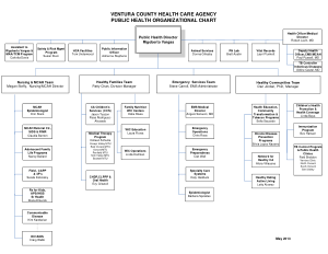 Public Health Organizational Chart Template