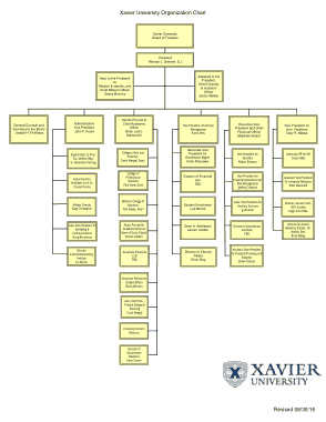 Xavier University Organization Chart Template