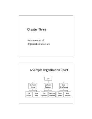 Free Download PDF Books, Company Management Chart Template
