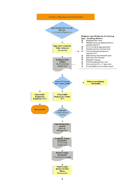 Management Structure Chart Template
