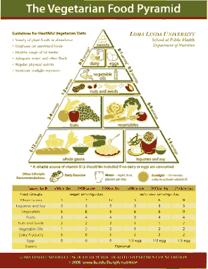 Vegetarian Food Pyramid Calorie Chart Template