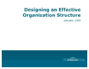 Designing an Effective Organization Structure Template