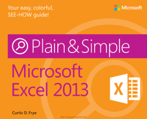 Microsoft Excel 2013 Plain Simple
