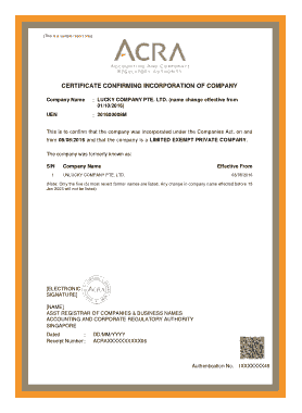 Certificate Confirming Incorporation of Company Template