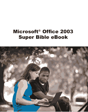 Access 2003 Bible Ebook