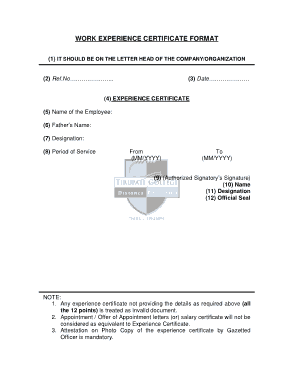 Work Experience Certificate Format Template