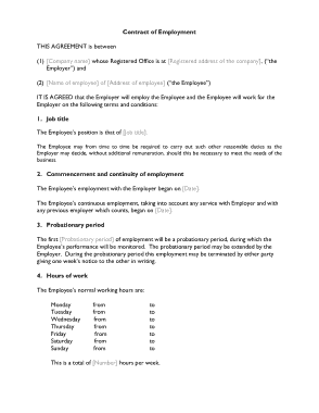 Contract of Employment Sample Template