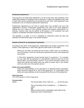 Employment Agreement Example Template