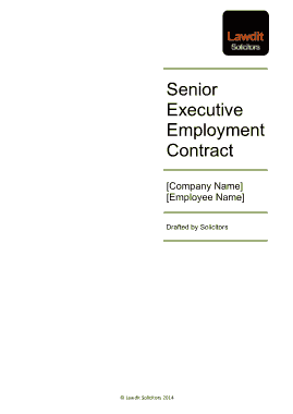 Senior Executive Employment Contract Agreement Template