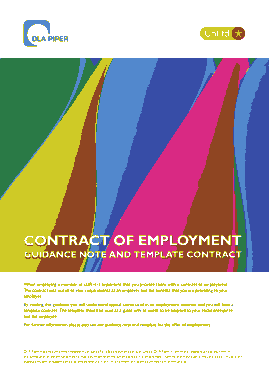 Employment Agreement Contract Guide Template