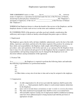 Employment Contractual Agreement Sample Template