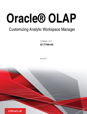 Oracle Olap Customizing Analytic Workspace Manager