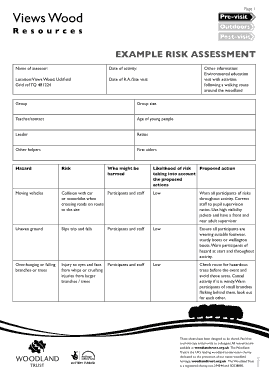 Charity Risk Assessment Example Template