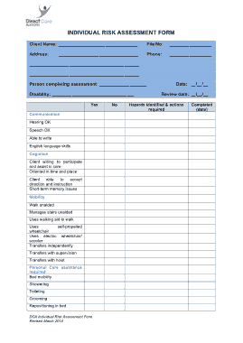 Individual Risk Assessment Form Example Template