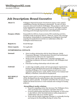 Sample Brand Executive Manager Job Description Template