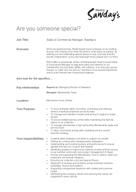 Sales and Commercial Manager Job Description Template