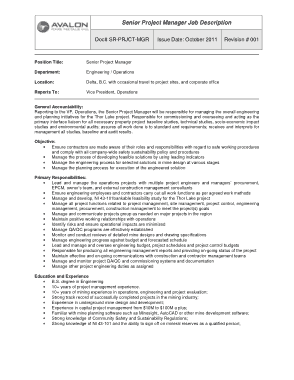 Free Download PDF Books, Senior Project Manager Job Description Template