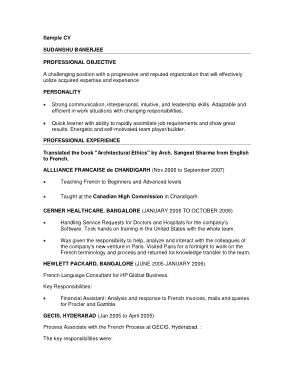 Pdf Sample Professional CV Free Template