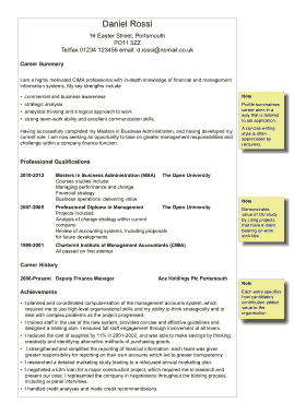 Printable Professional CV Template