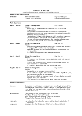 Professional CV Example Template