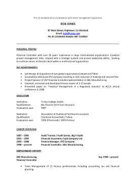 Project Manager CV Template Pdf