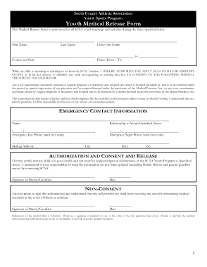Youth Medical Release Form Pdf Template