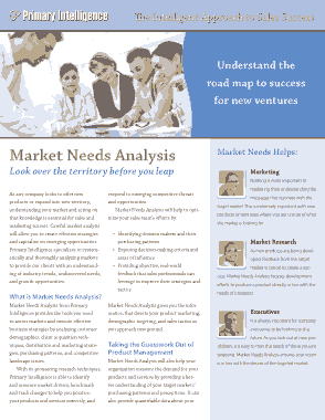 Analysis of Market Needs Template
