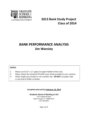 Bank Performance Analysis Report Template