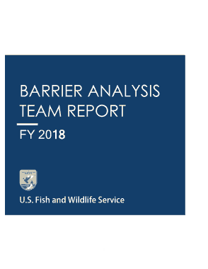 Barrier Analysis Team Report Template