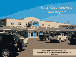 Basic Retail Gap Analysis Final Report Template