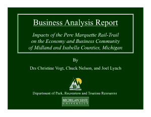 Business Analysis Report Format Template