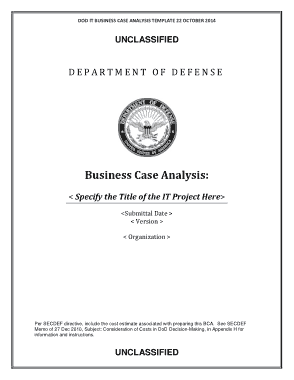 Business Case Analysis Template